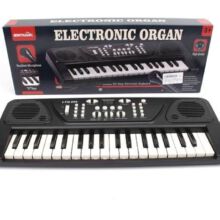 ارگ بزرگ میکروفون دار