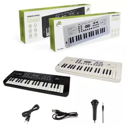 ارگ ۳۷ کلید 6200